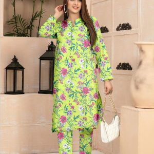 2 pcs dhanak suit