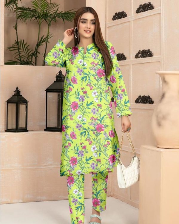 2 pcs dhanak suit